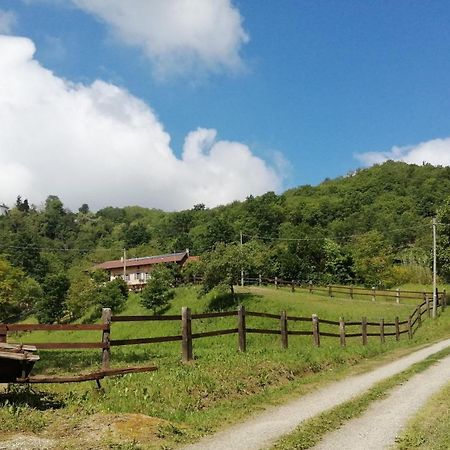 La Casa In Collina Bed & Breakfast Cinzano Dış mekan fotoğraf